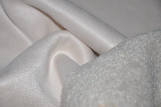 Fourrure du suède 610gsm de Shu Velveteen Coating Woven Fabric