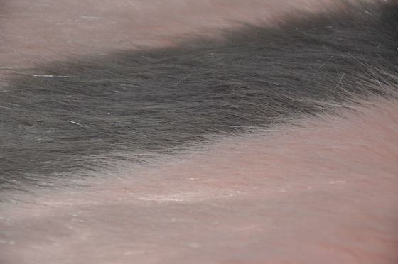Fourrure opposée de faux de cheveux du tissu 150cm de peluche de couleur la longue, apportent le contact et le confort inégalés