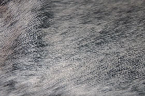 long tissu solide gris de fourrure de cheveux, la combinaison parfaite de l'élégance et du style moderne