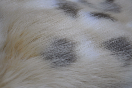 Le tissu mélangé de fourrure de Fox de Faux de jacquard, longue fourrure de faux de cheveux de 150cm, créent des conceptions à la maison uniques de décor et de rideau