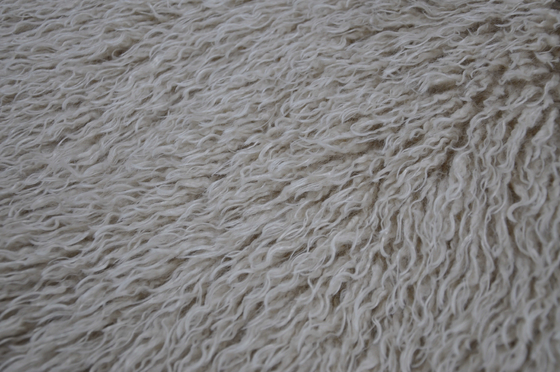 L'acrylique mongol de tissu de fourrure explorent le charme et l'unicité de ce matériel luxueux