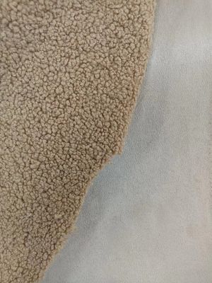 760gm Teddy tricoté en tissu en peluche en peluche en tissu composite en daim de la même couleur